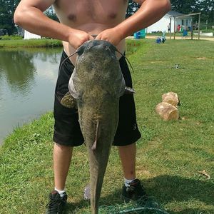 Meet your Posher, Billy